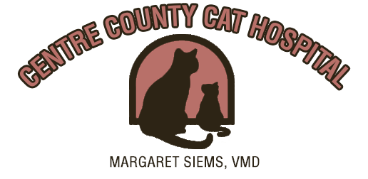About Our Feline Veterinary Hospital in State College, PA | Centre County Cat  Hospital